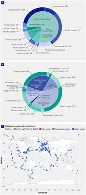 Metagenomic probing toward an atlas of the taxonomic and metabolic foundations of the global ocean genome